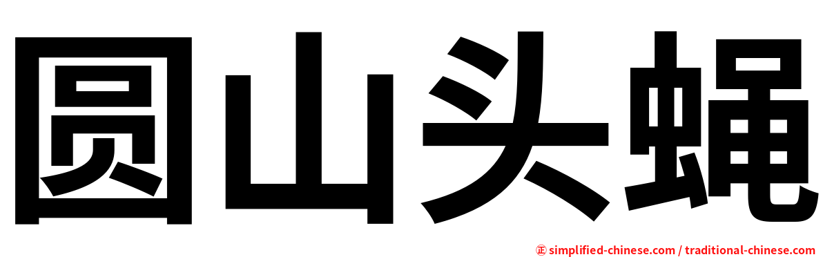 圆山头蝇
