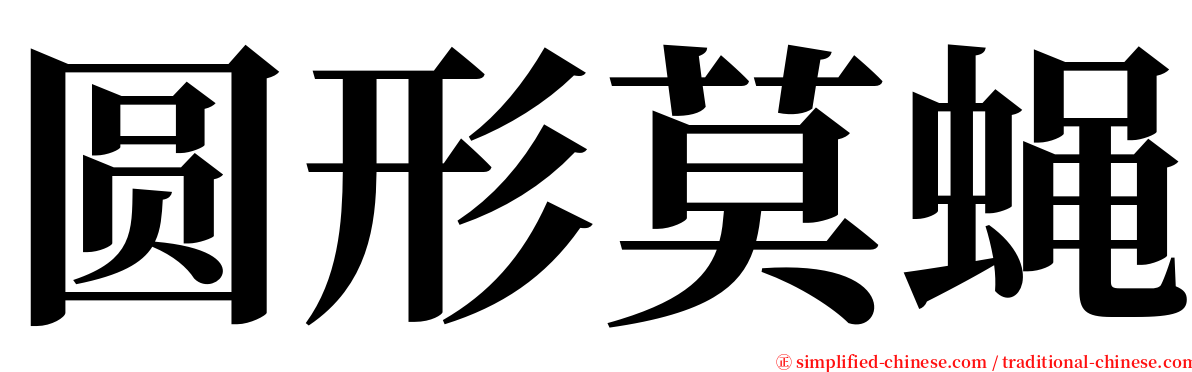圆形莫蝇 serif font