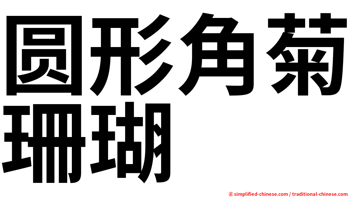 圆形角菊珊瑚
