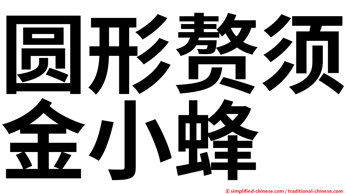 圆形赘须金小蜂