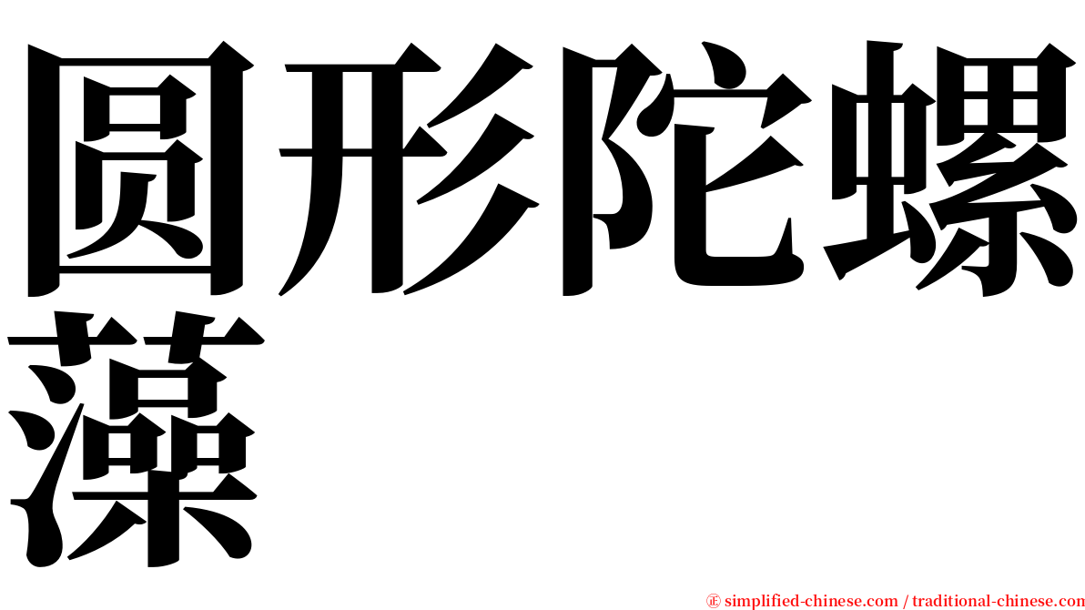 圆形陀螺藻 serif font