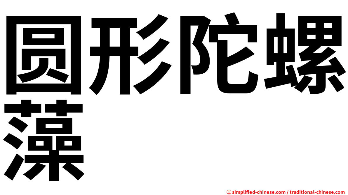 圆形陀螺藻