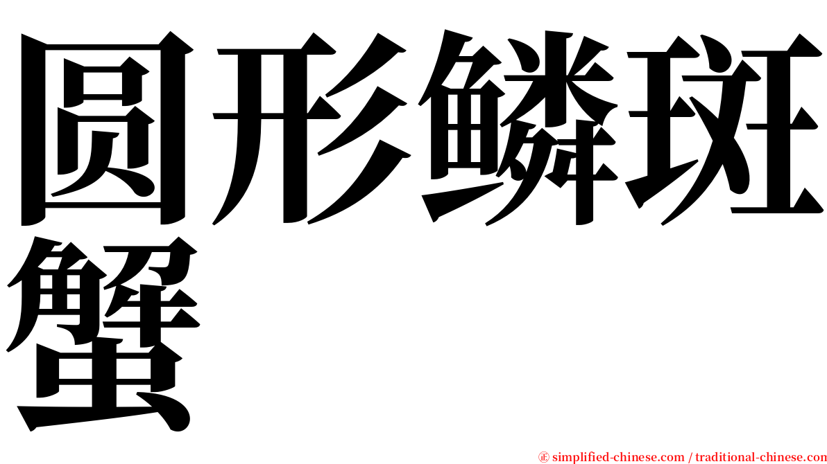 圆形鳞斑蟹 serif font