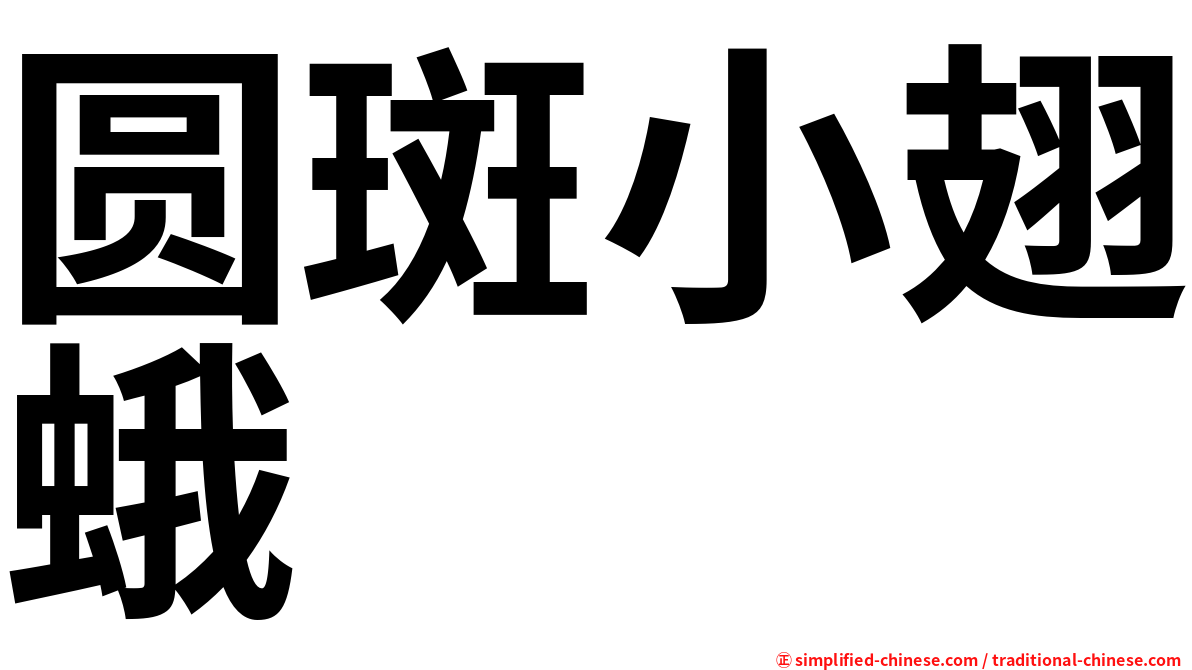 圆斑小翅蛾