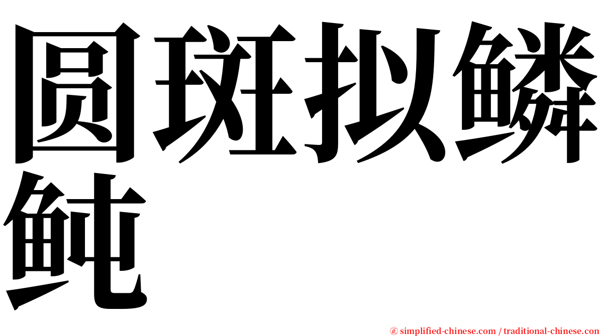圆斑拟鳞鲀 serif font