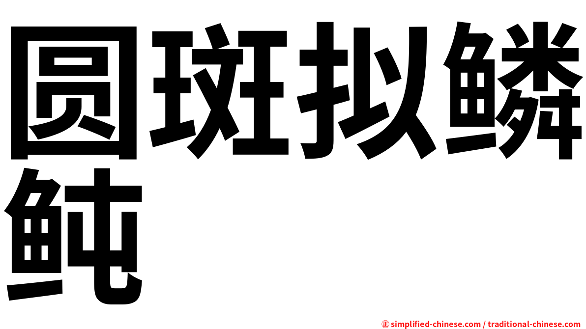 圆斑拟鳞鲀