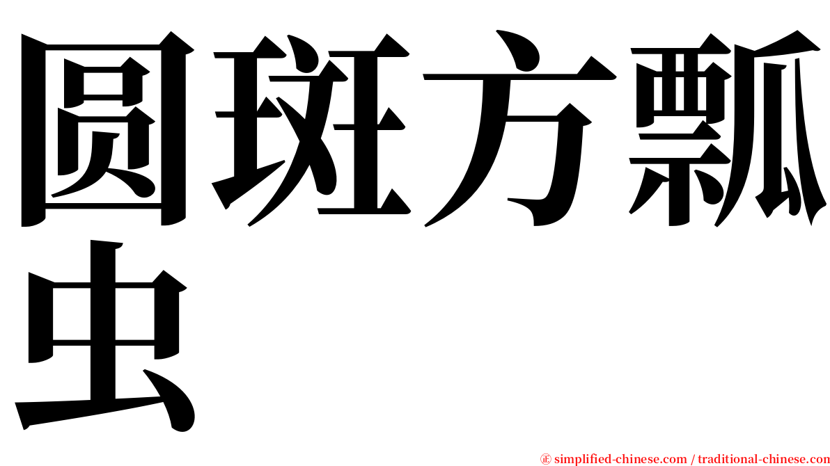圆斑方瓢虫 serif font