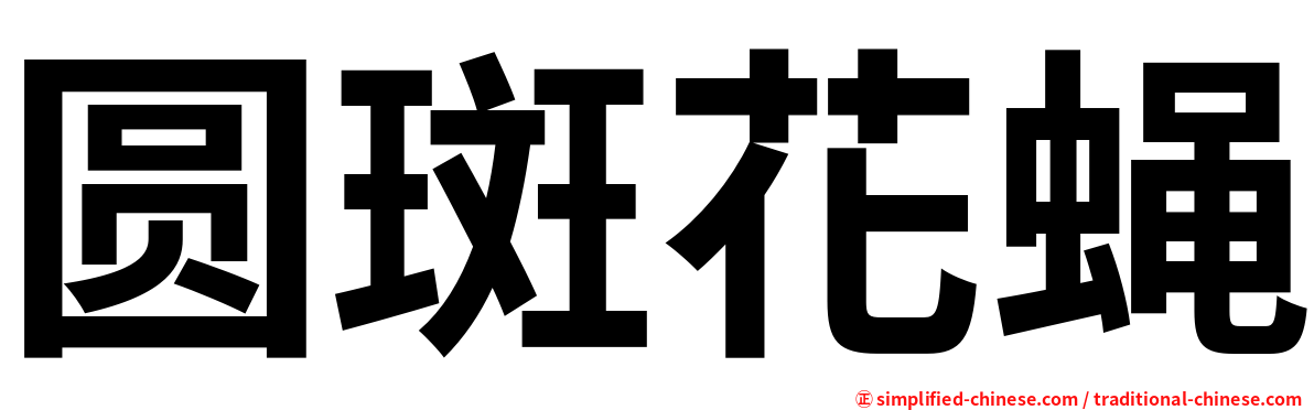 圆斑花蝇