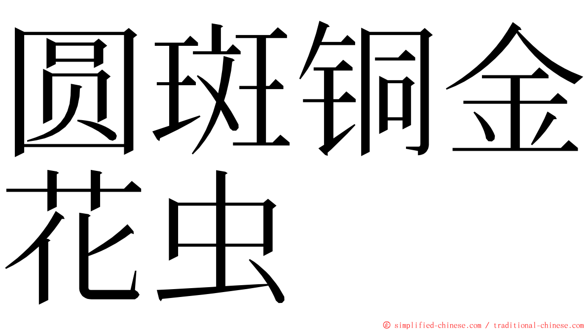 圆斑铜金花虫 ming font