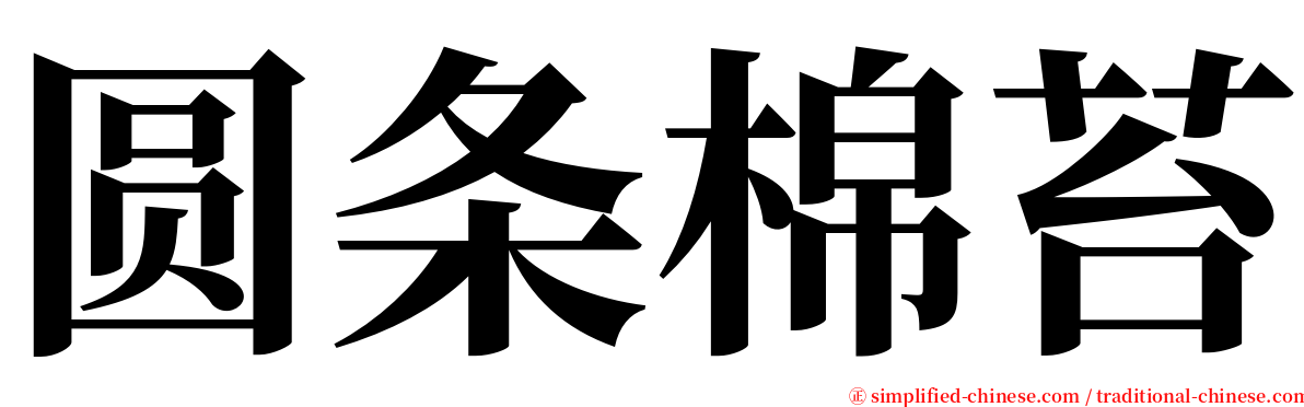 圆条棉苔 serif font