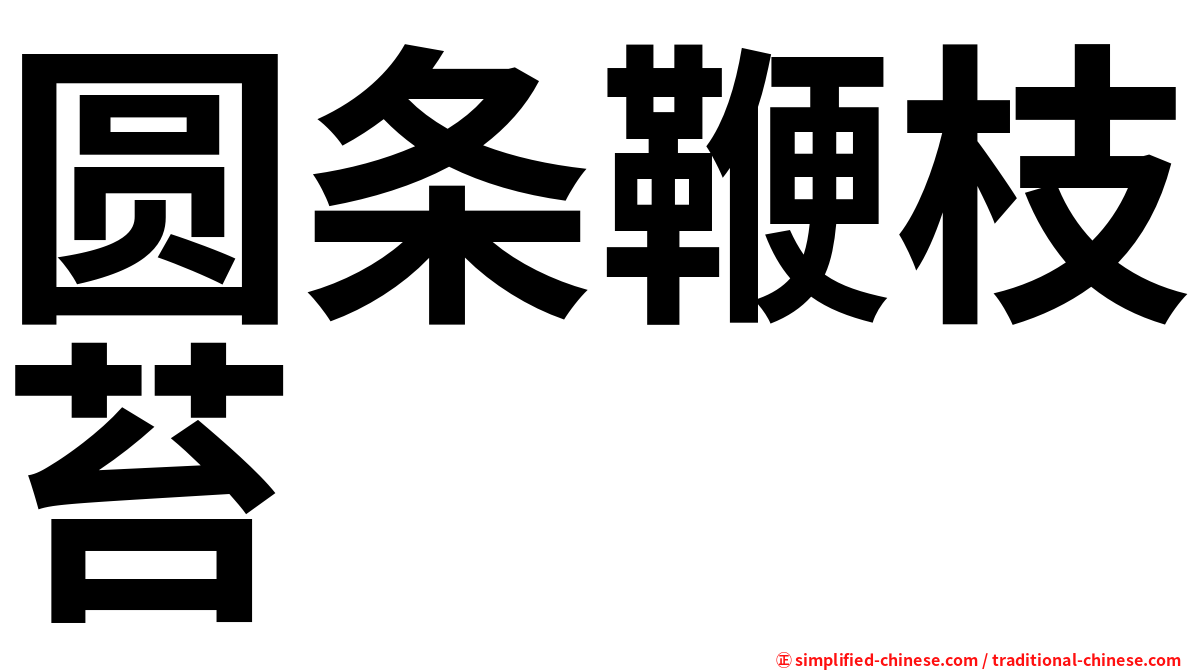 圆条鞭枝苔