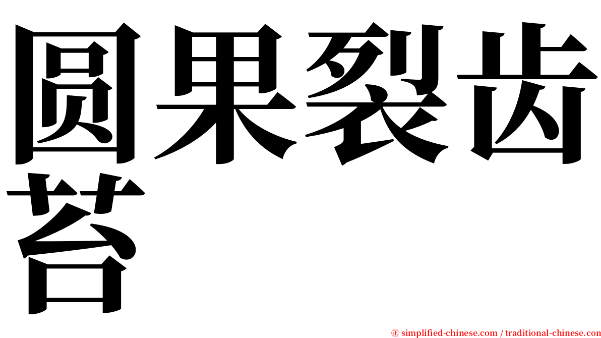 圆果裂齿苔 serif font