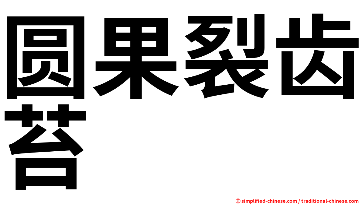 圆果裂齿苔