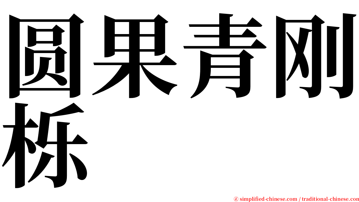 圆果青刚栎 serif font