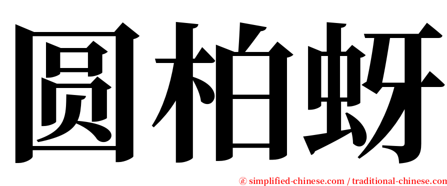 圆柏蚜 serif font
