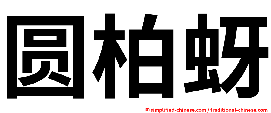圆柏蚜