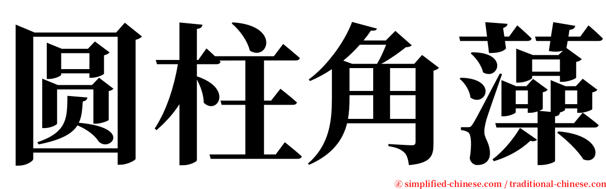 圆柱角藻 serif font