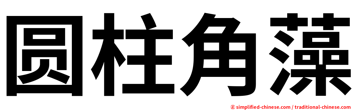 圆柱角藻