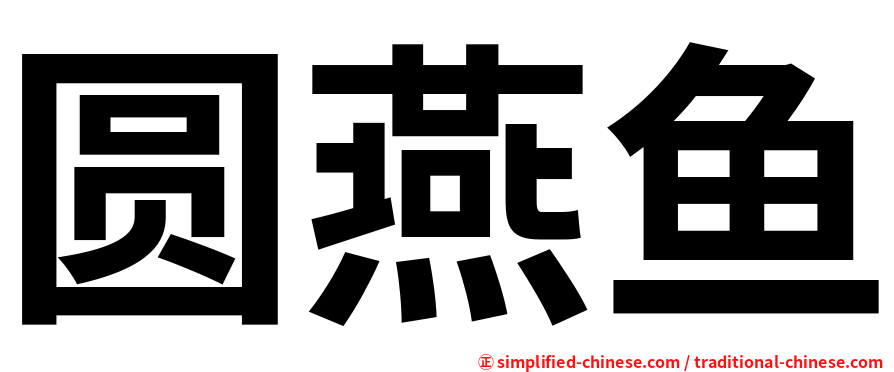 圆燕鱼