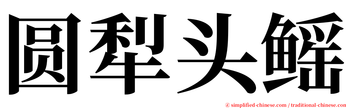 圆犁头鳐 serif font