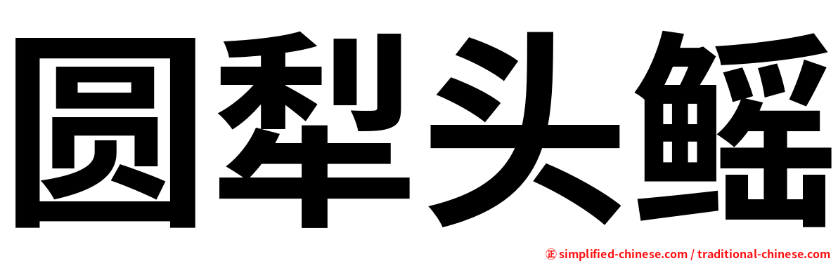 圆犁头鳐