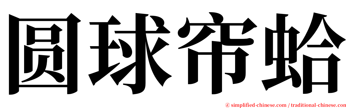 圆球帘蛤 serif font