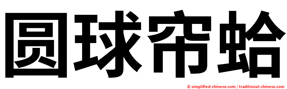 圆球帘蛤