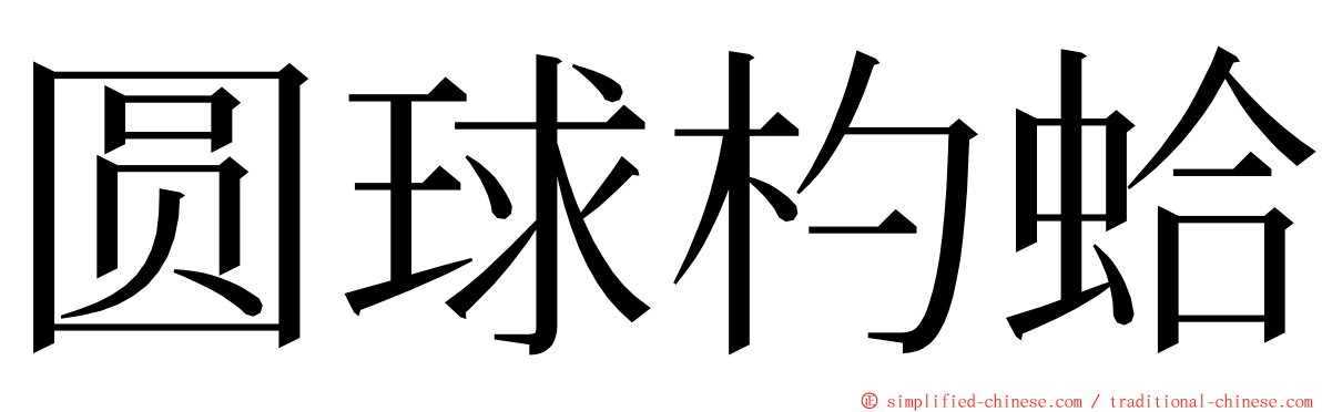圆球杓蛤 ming font