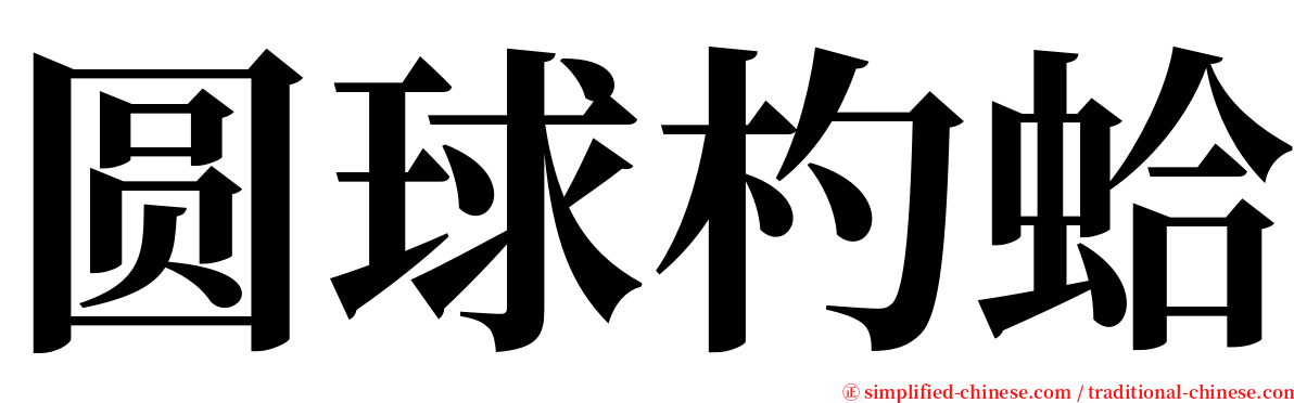 圆球杓蛤 serif font