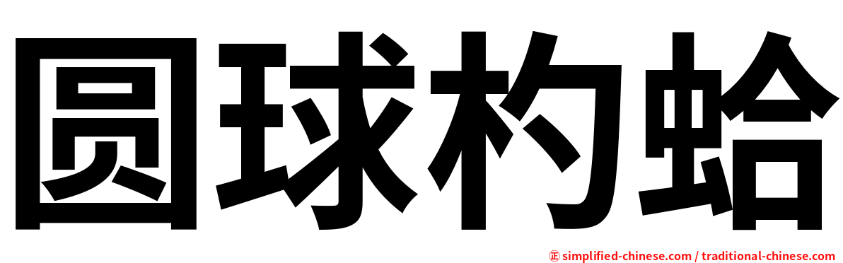 圆球杓蛤