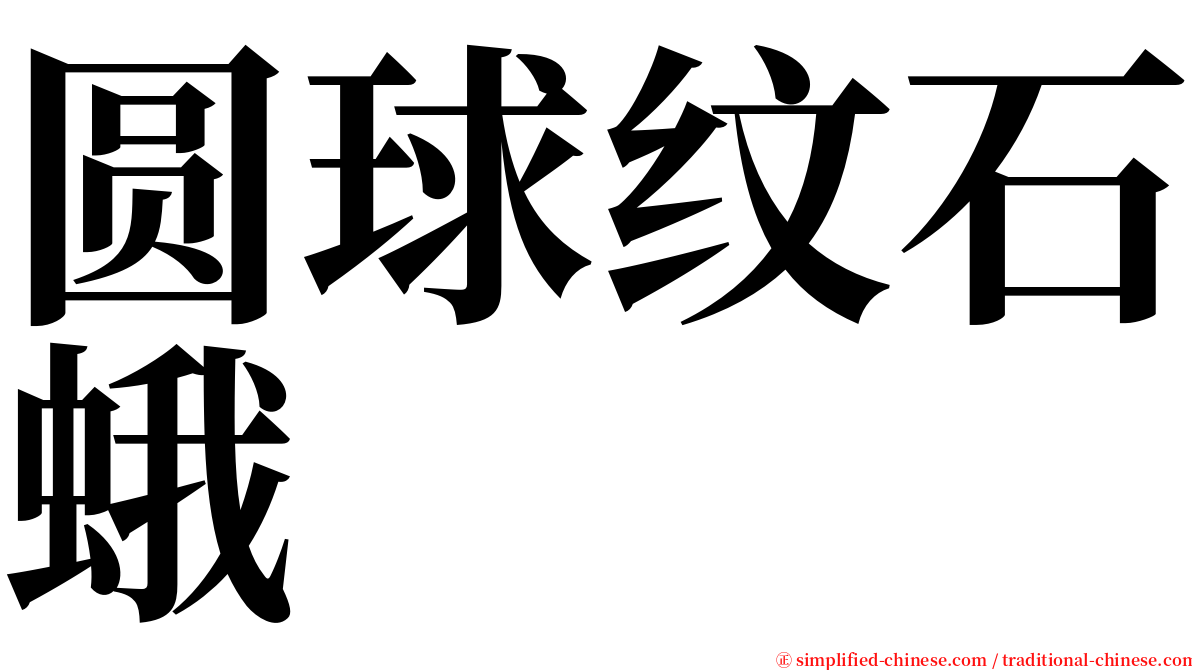 圆球纹石蛾 serif font