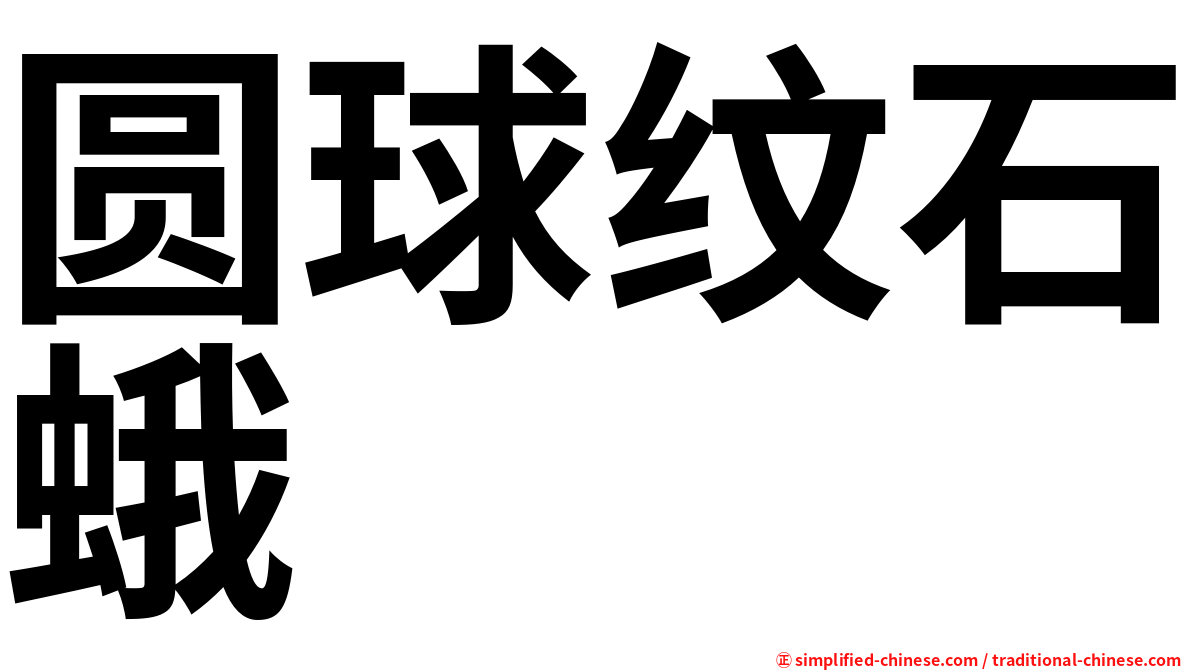 圆球纹石蛾