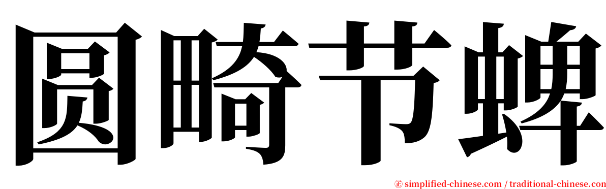 圆畸节蜱 serif font