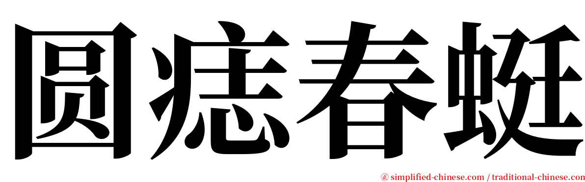 圆痣春蜓 serif font