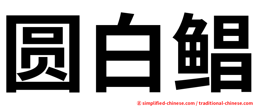 圆白鲳