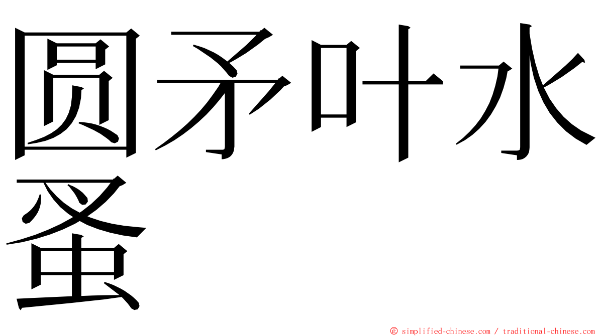 圆矛叶水蚤 ming font
