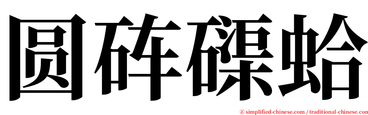 圆砗磲蛤 serif font