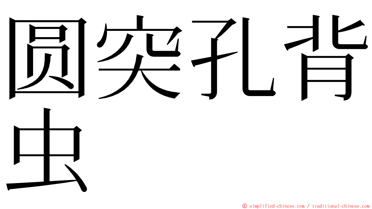 圆突孔背虫 ming font
