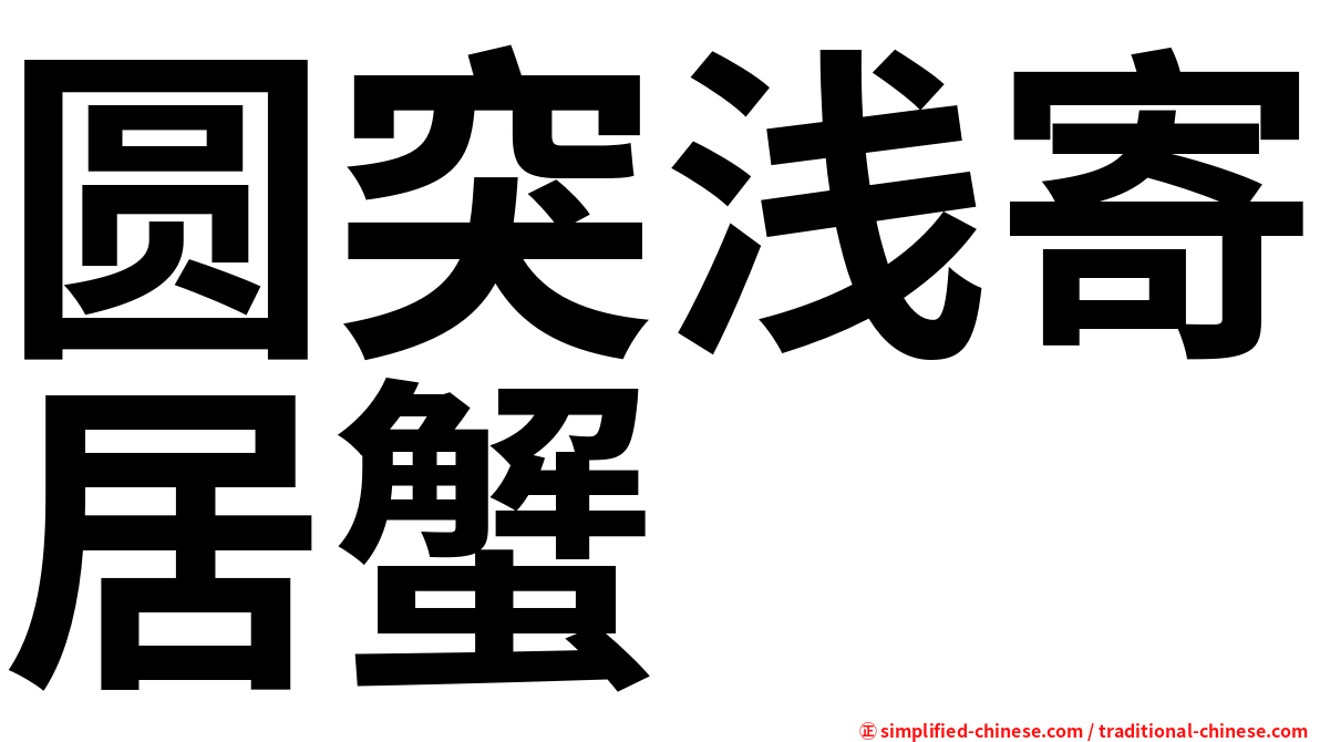 圆突浅寄居蟹