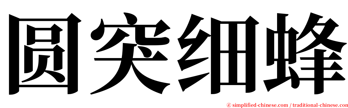 圆突细蜂 serif font