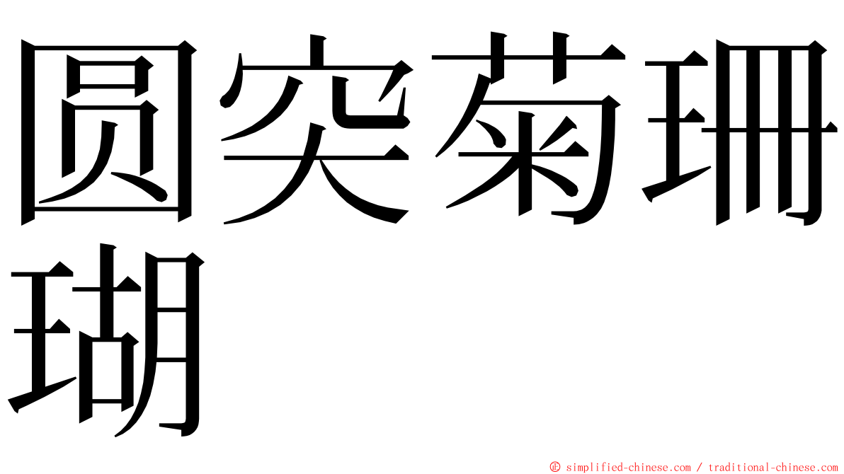 圆突菊珊瑚 ming font