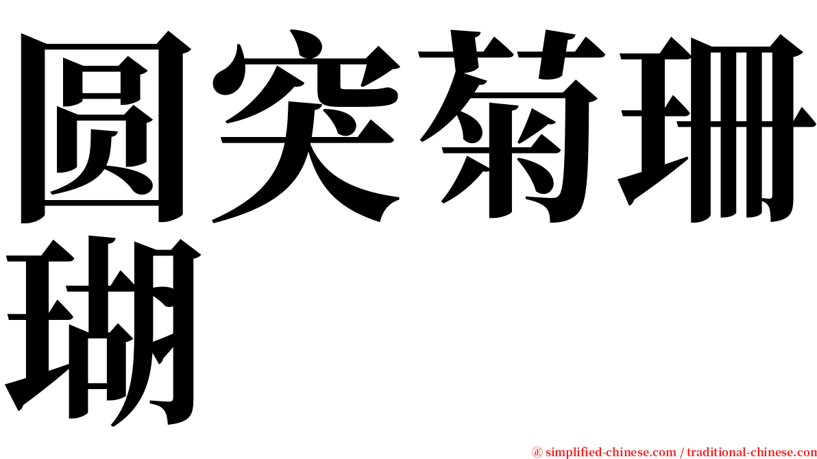 圆突菊珊瑚 serif font