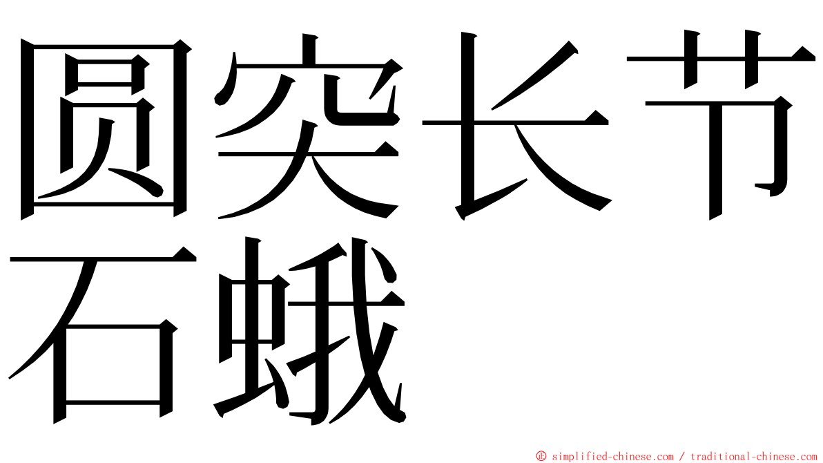 圆突长节石蛾 ming font