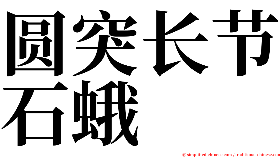 圆突长节石蛾 serif font