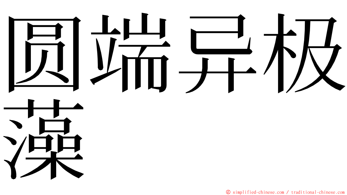圆端异极藻 ming font