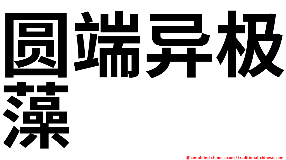 圆端异极藻