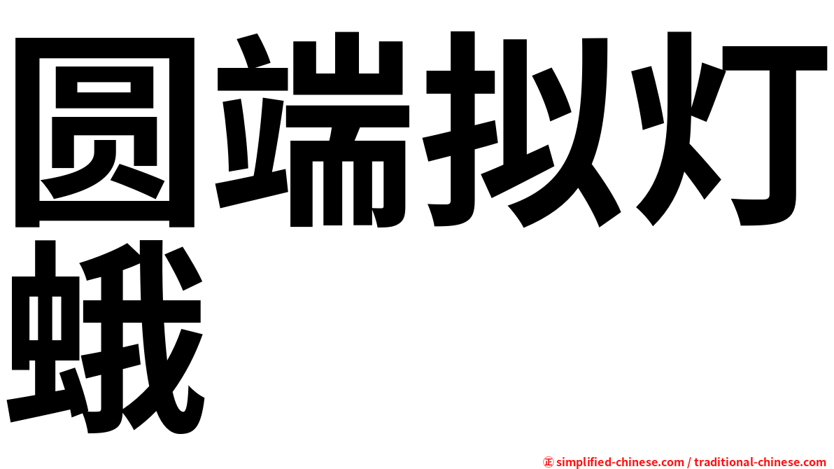 圆端拟灯蛾