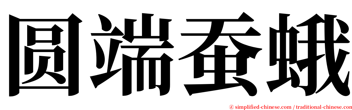 圆端蚕蛾 serif font