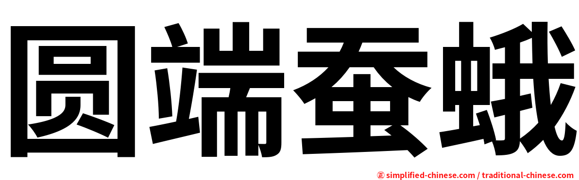 圆端蚕蛾