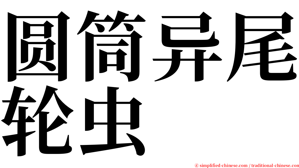圆筒异尾轮虫 serif font